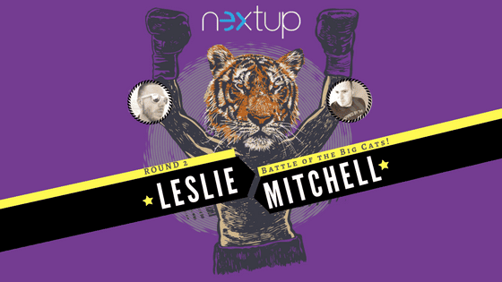 Google Adwords Battle of the Big Cats