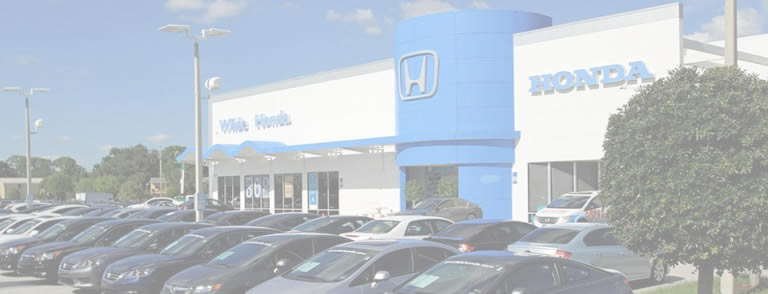 Wilde Honda